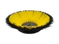 Preview: Seitenbesen Poly 0,45 mm gelb / Poly 1,6 mm schwarz