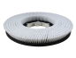Preview: Schrubbbürste - mittel Poly 0,6 - Scrubmaster B45-510 mit TBU / Hakomatic B45-510