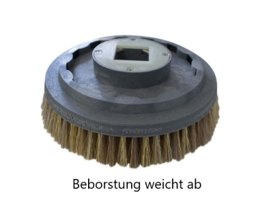 Schrubbbürste - Waschbeton Nylon 0,4 - Ecobot Scrubber 50