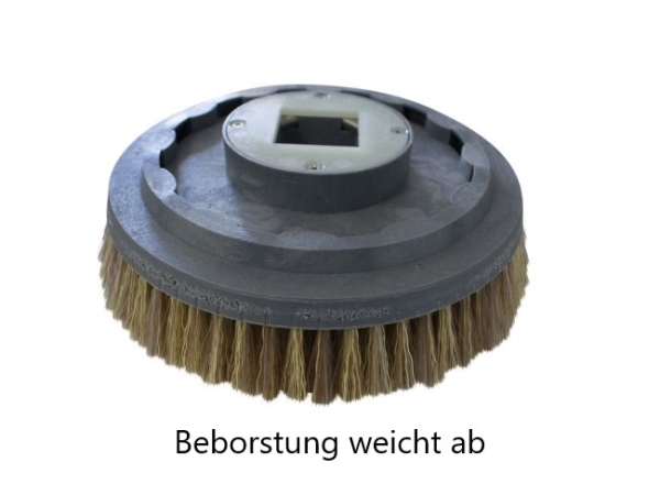 Schrubbbürste - Waschbeton Nylon 0,4 - Ecobot Scrubber 50